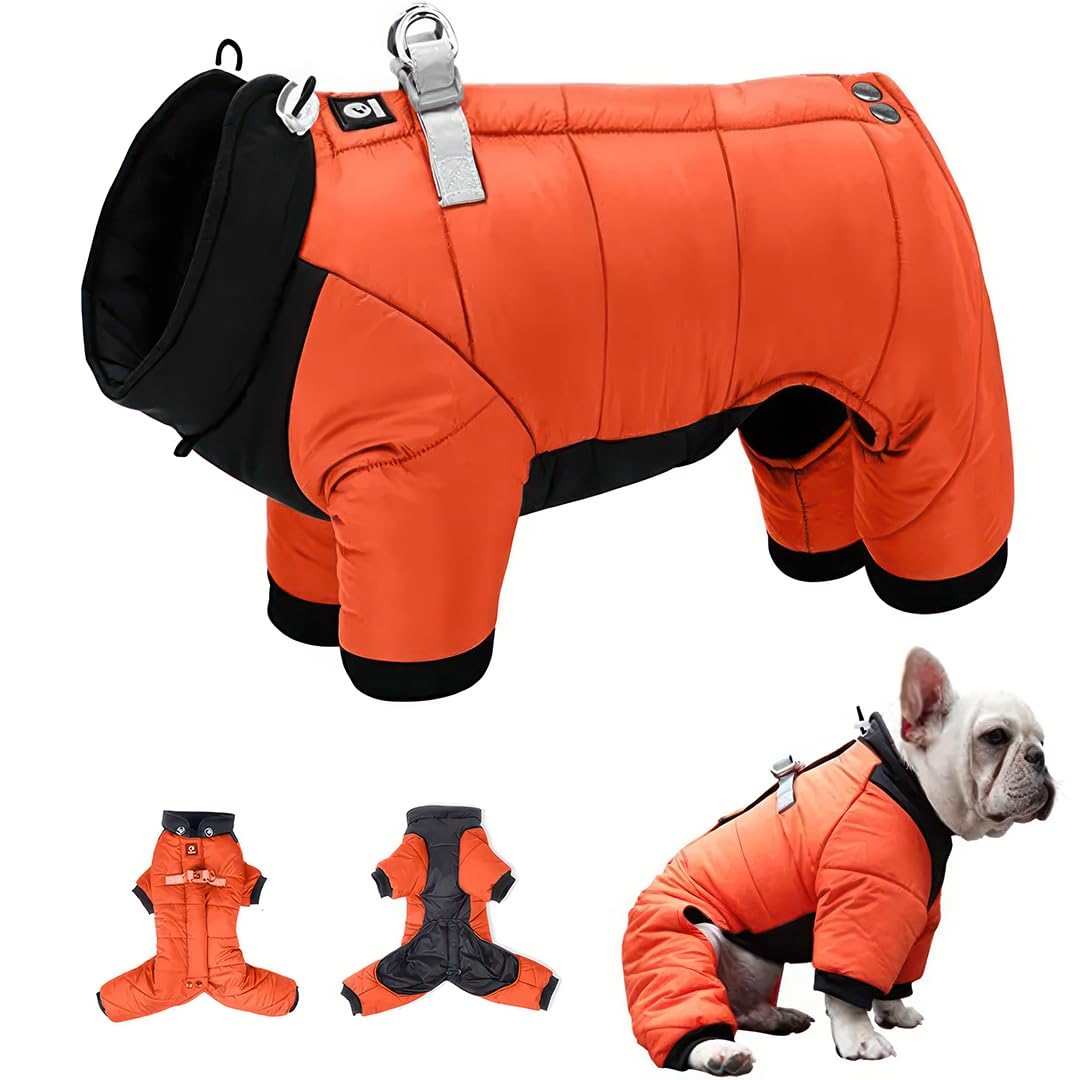 Dog Coats Waterproof (Orange, L) - Dog Raincoats, Keeps Your Pet Dry and Comfortable, Ideal for Small Dogs, Dachshunds, and Puppies