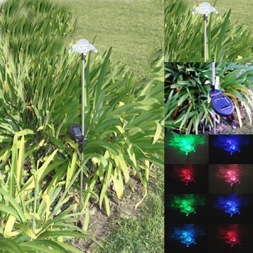 Amazon Com Solar Powered Turtle Garden Yard Decor Stake Color