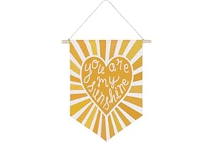 QODUNG You are My Sunshine Canvas Banner,Summer Sun Sunshine Wall Hanging Pennant Flag Canvas Banner for Kids Room Classroom Playroom Nursery