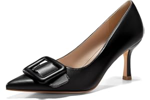 Coutgo Women's Closed Pointed Toe Pumps Stiletto High Heels Wedding Party Dress Shoes