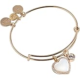 Alex and Ani First Anniversary Bangle