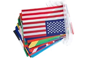 BRIGHTFUFU National Flag Banner 100pcs Soccer Flags for School Library Garden Bar Fans Decor