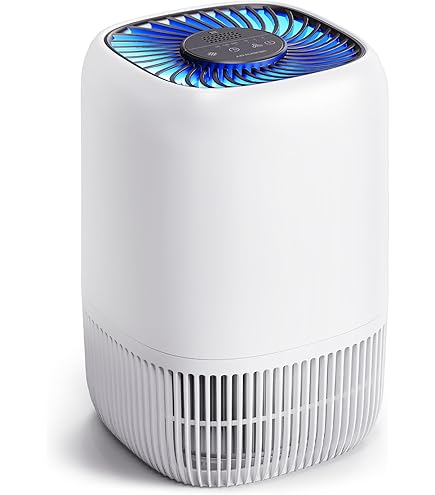 1222専用 Amazon.com: Hilti HEPA Replacement Main Filter - 203879 : Home