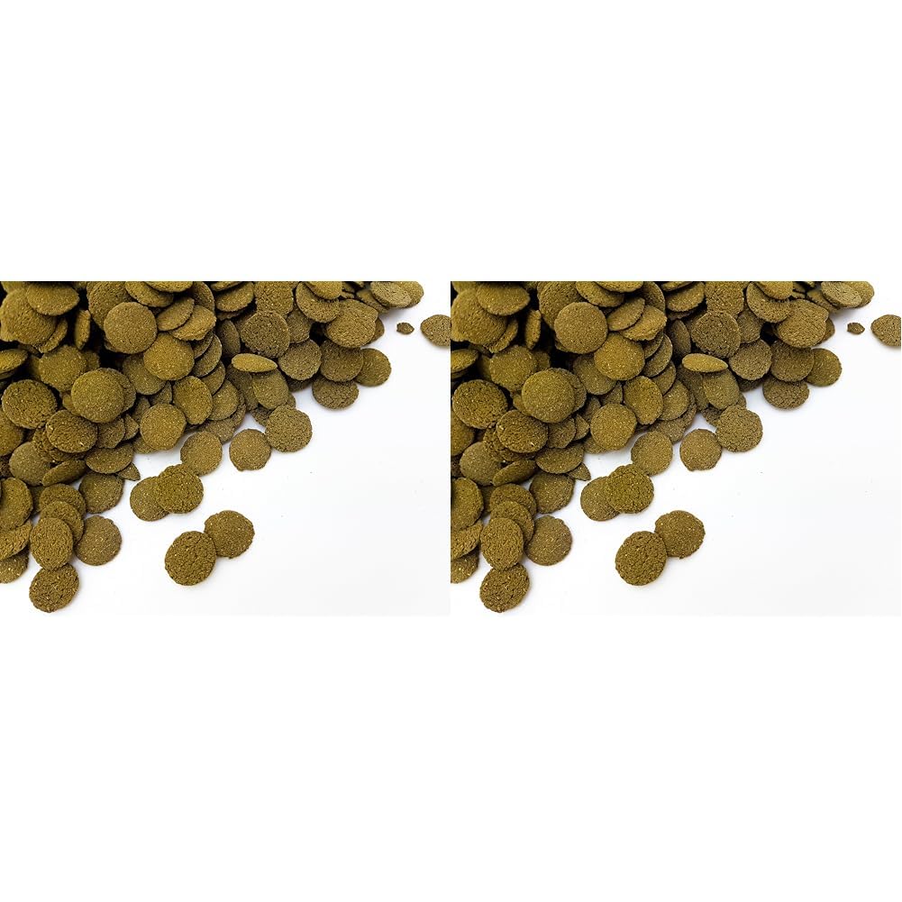 HERONS - Spirulina Algae Wafers - 15 mm Sinking Wafer - For all Bottom-Feeding Fish and Crustaceans - Rich in Fiber - Immune Support - Enhance Colour and Improves Digestion - 100 Grams (Pack of 2)