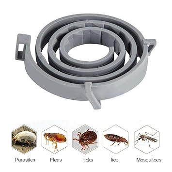 AUOKER Waterproof Adjustable Flea and Tick Collar for Dogs/Cats, Natural Essential Oils, Stops Bites Itching (Grey)