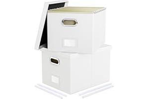 Oterri Leather File Box with Lid & Handle, Letter Legal Size Filing Box, File Organizer for Hanging File Folders, File Folder