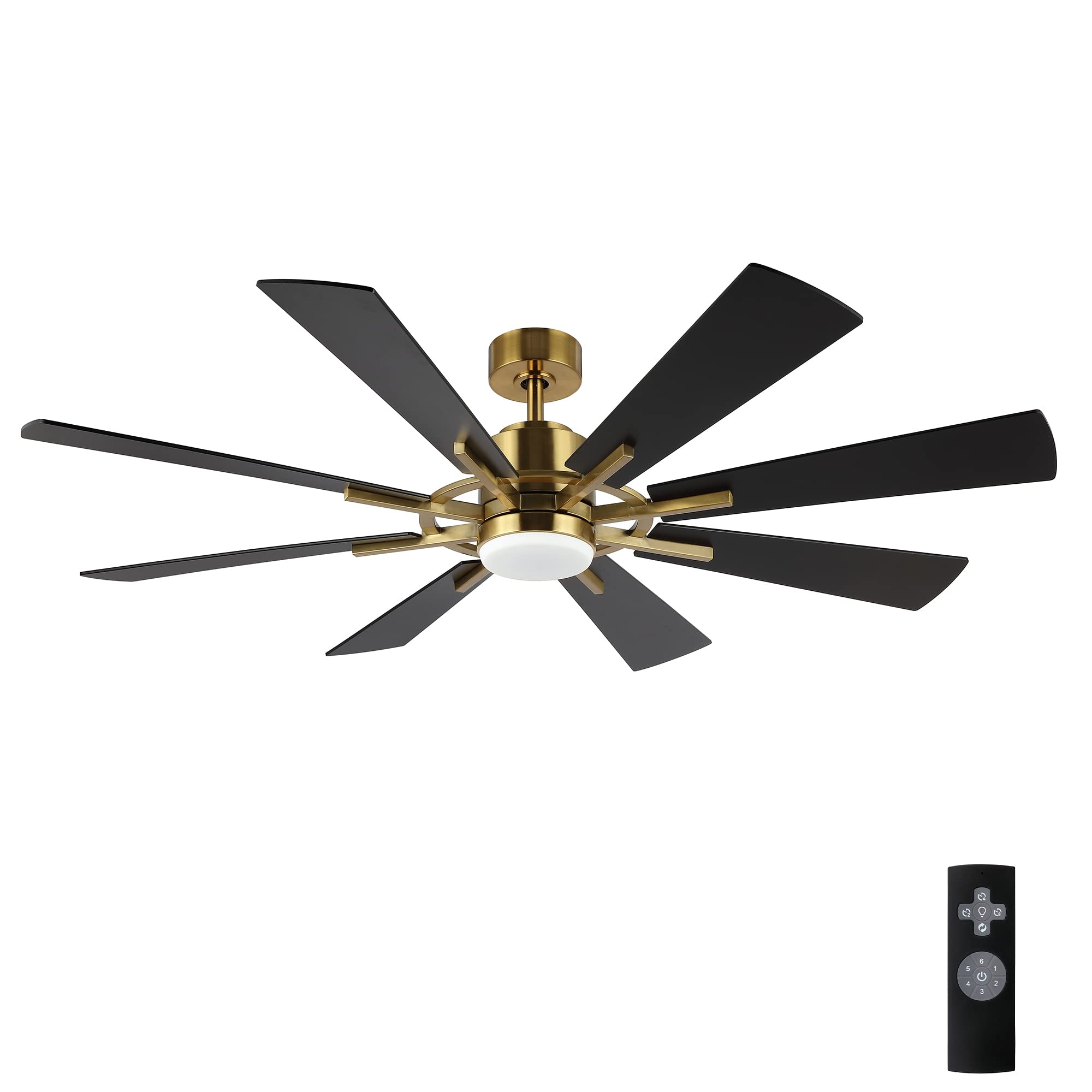 WINGBO 60" DC Ceiling Fan with Lights and Remote