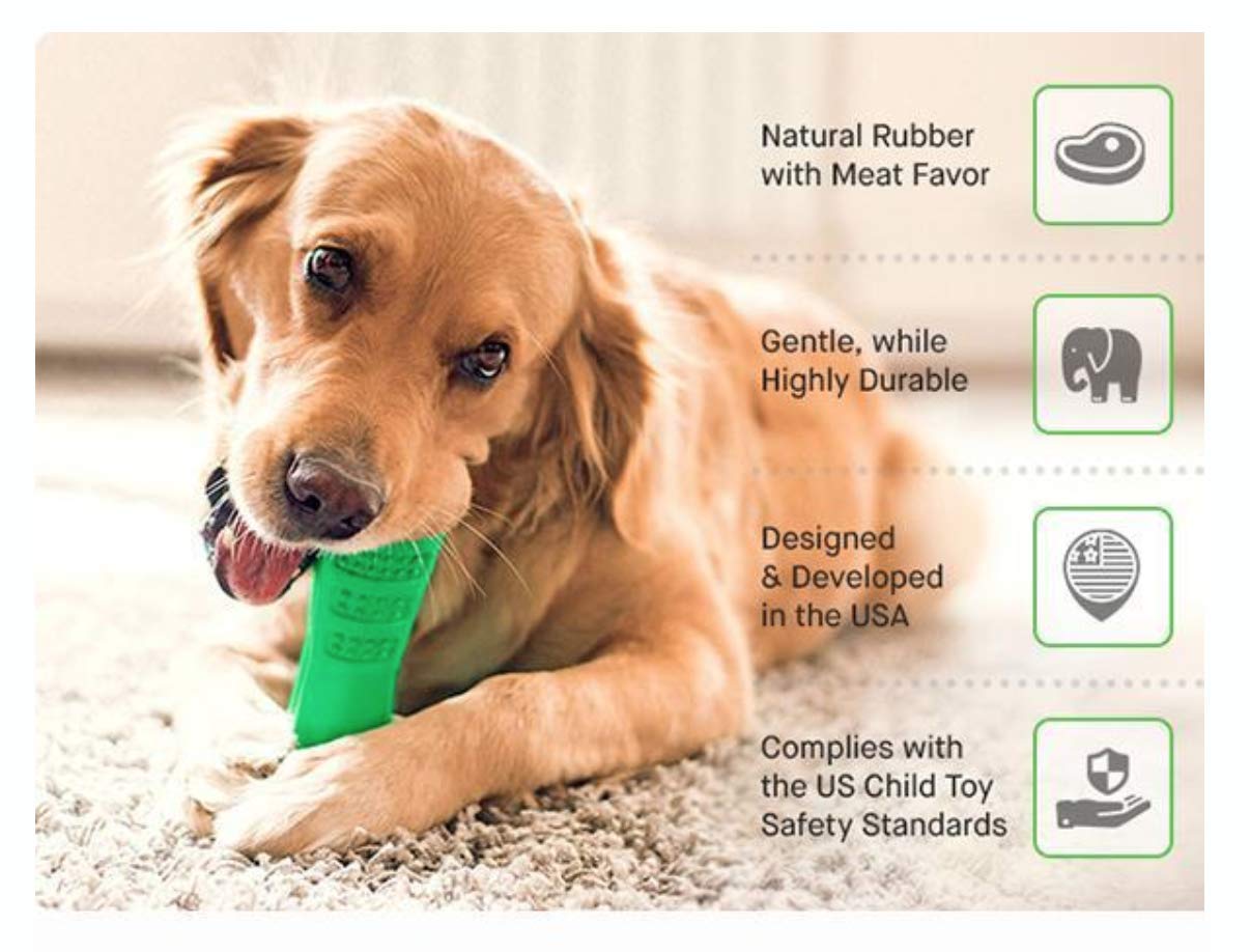 RiseMoV Bristly Brushing Stick, DoggyBrush World's Most Effective