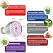CREATE BRIGHT Led Grow Light Bulb, 60W Plant Light Bulb Full Spectrum Led Grow Bulb E26 Grow Plant Light for Indoor Plants,Hydroponics Greenhouse Organic,Pack of 1