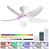 Kviflon Ceiling Fans with Lights Remote/APP