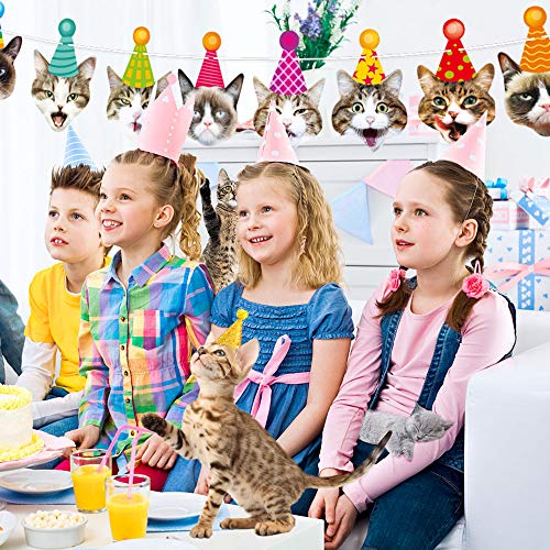 Cat Party Supplies Cat Birthday Garland Banner Cake Toppers Photographic Cat Faces Birthday Cake Banner Decorations Birthday Party Bunting Banner Decor - Thumbnail 6