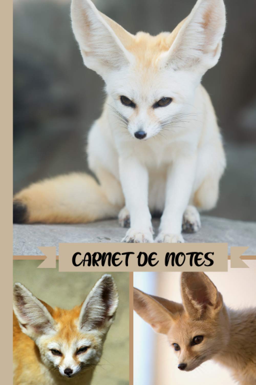 Carnet De Notes Fennec Journal Carnet Ligne Le Cadeau Ideal Pour Les Amoureux Des Fennecs Kawai Animaux Amazon Fr Livres