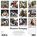 Hunter Jumper 2017 Calendar