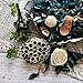Qingbei Rina Blue Potpourri, Ocean Scent Potpourri, Coastal Beach Vase Bowl Filler, Home Fragrance Satchel Party Wedding Dinning Decor,Fragrance Vial Include,10 oz