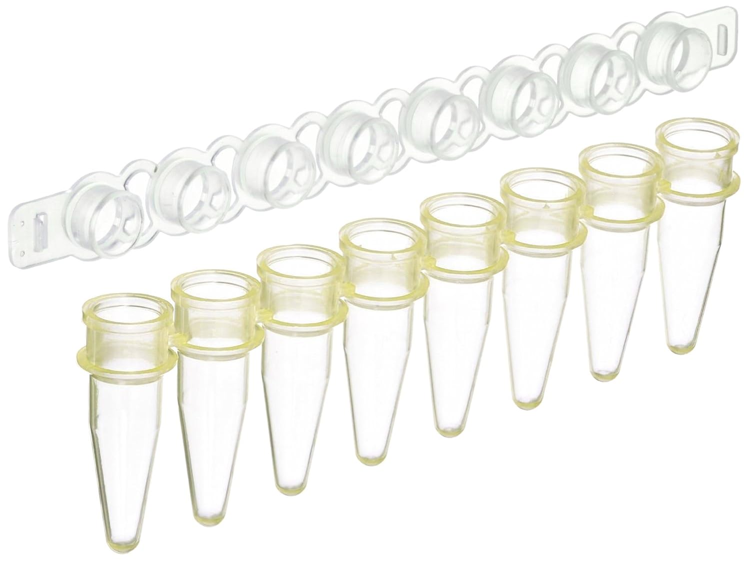 MBP Yellow 8 Strip Thin Wall PCR Tubes with Dome Cap, 0.2ml Capacity