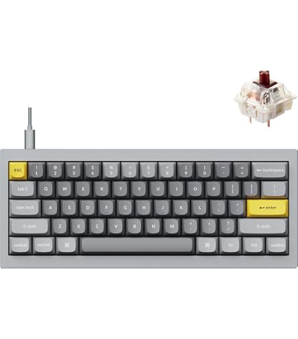 Amazon.com: Keychron Q4 Wired Custom Mechanical Keyboard, QMK/VIA