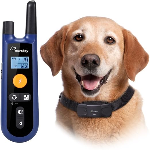 dog and puppy adoption near me