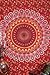 Labhanshi Reddish kaleidoscopic Wall Hanging - Block Print Floral Indian Tapestry