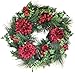 The Wreath Depot Jasper Winter Wreath, 24 Inches, Stunning Full Winter Wreath Design, Gift Box Included