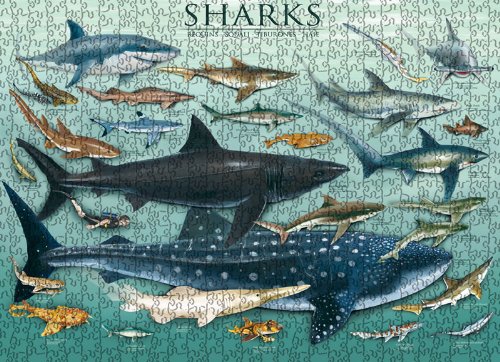 EuroGraphics Sharks 1000 Piece Puzzle