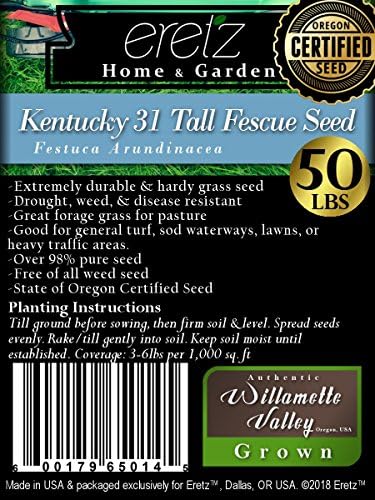 Kentucky K31 Tall Fescue Grass Seed by Eretz - State Certified, No fillers, No Weed or Other Crop Seeds (50lbs)
