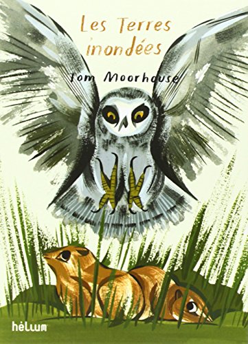 Les  terres inondées