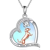ONEFINITY Moonstone Necklace Gifts 925 Sterling Silver Cute Animal Jewelry for Women Heart Moonstone Gifts