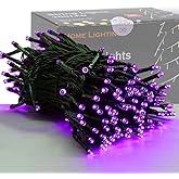 HOME LIGHTING 66ft Halloween Decorative Mini Lights, 200 LED Green Wire Fairy Starry String Lights Plug in, 8 Lighting Modes, for Indoor Outdoor Xmas Tree Wedding Party Decoration (Purple)