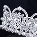 Stuffwholesale Girl Tiaras Silver Rhinestone Crystal Crown Pearl Prom Party Hair Wear with Bobby Pins (Crystal )