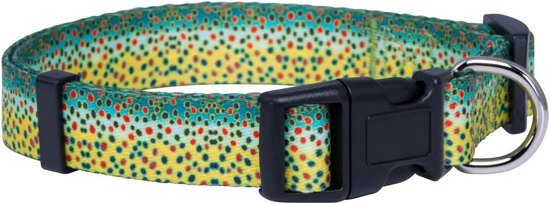 dog collars with fish design