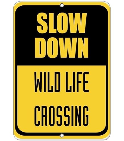 Labrador Retriever Dog Sign, Caution Dog Sign, Labrador Lover, Dog...