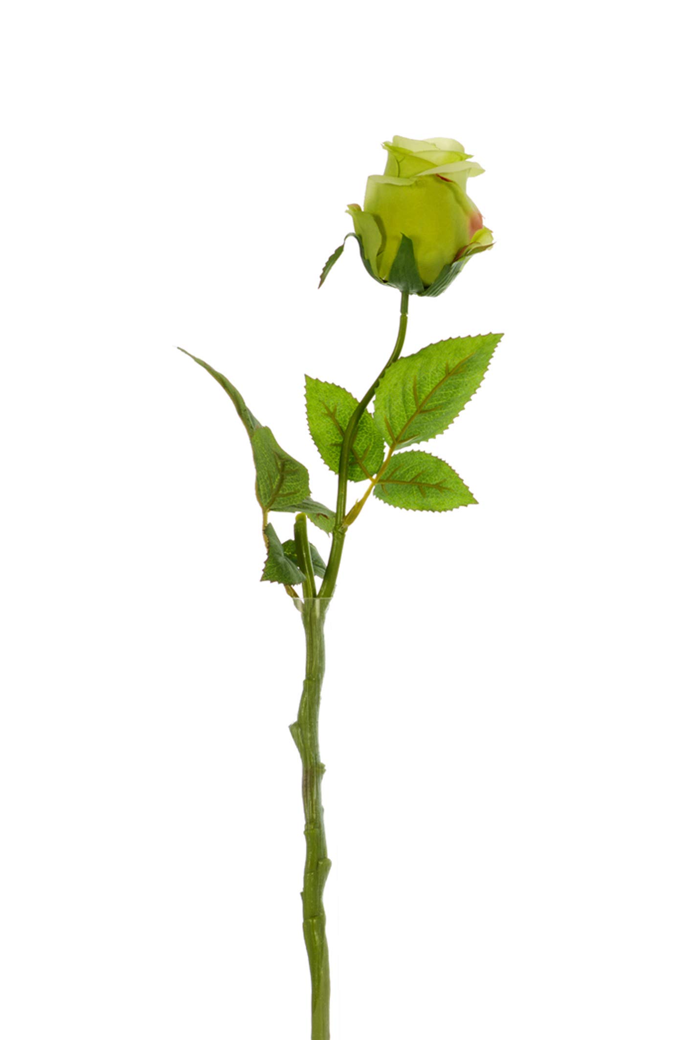 Express Flor Artificial Flowers, Silk, Green, 42cm
