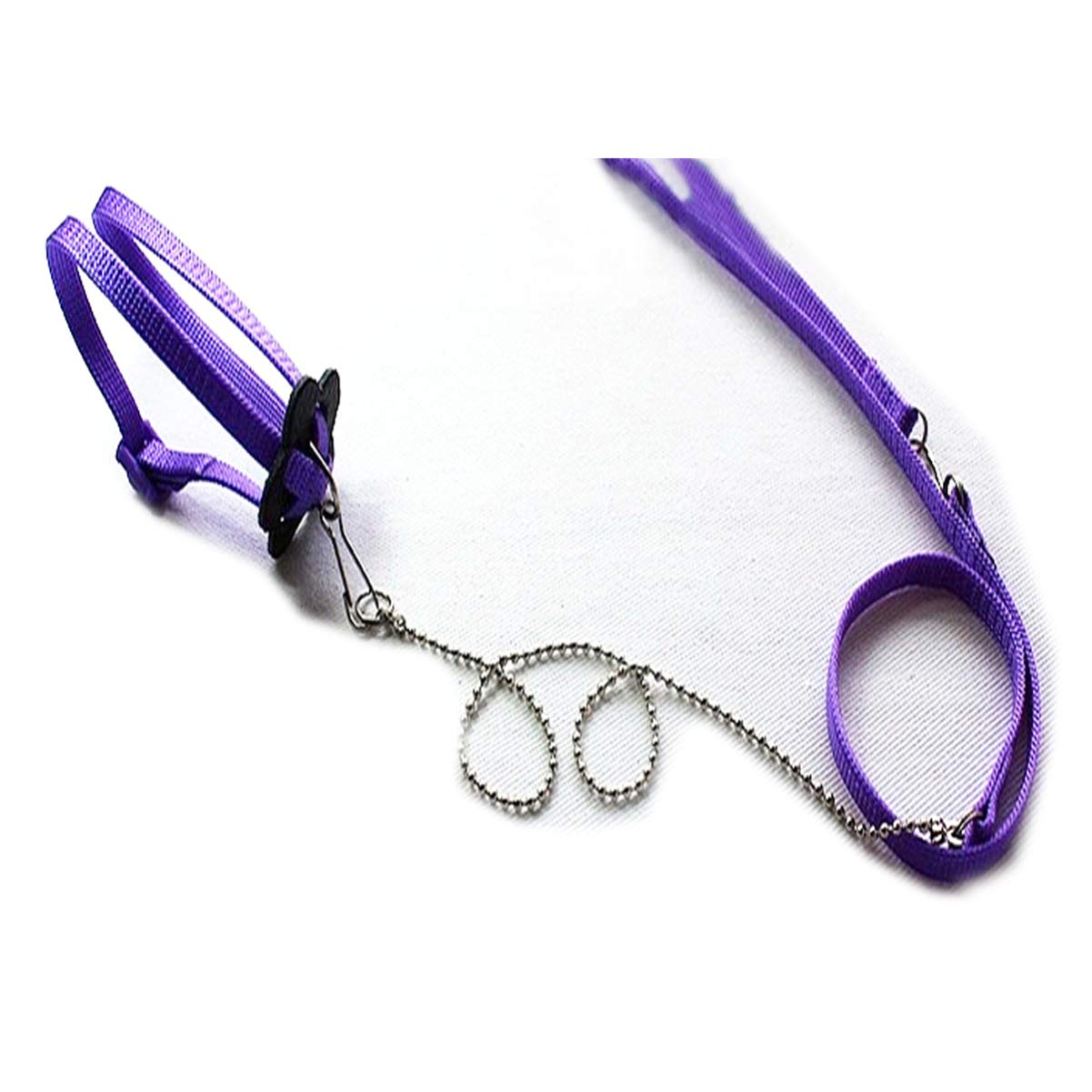 POPETPOP Bearded Dragon Harness and Leash Adjustable Lizard Reptiles Harness Leash for Amphibians Small Pet Animals Working Outdoor 1.2M Purple