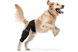 Dog Knee Brace Support for Torn ACL Hind Leg, Adjustable Back Wrap for Recovery & Prevention of Joint Injuries, Canine Crucia