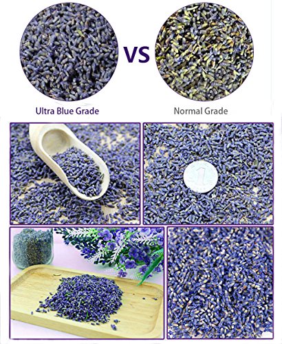 TooGet Lavender Sachet Bags, Organic Ultra Blue Lavender Buds for Home Fragrance, Natural Deodorizer, Moth Repellent and Fresh Lavender Scent Deodorant Sachets - Pack of 6