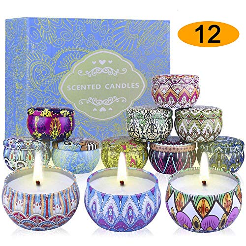 YIIA Fruity Scented Candles Gift Set, Natural Soy Wax Travel Tin Candle Stress Relief Aromatherapy with Sweet Odor 12-Pack