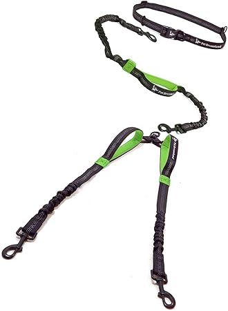dog leash for two dogs