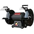 BUCKTOOL 1-1/2HP 10 Inch Low Speed Bench Grinder, 1750 RPM Table Grinder with 13A Motor, High Precision Wobble-free Wheel Grinder, TDS-250