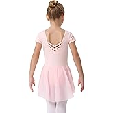 danswan Long Sleeve Ballet Skirted Leotards Dance Dresses Tutu Outfit for Ballerina Toddler Girls