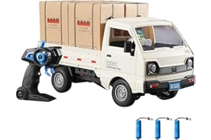 Dodoore Remote Control Car RC Kei Truck,1:16 Scale RC Transporter Pickup Truck, 2.4GHz All Terrain RC Transport Cars with Spray & Light, 3 Batteries, Best Gifts Ideas for Kids Age 6 Year Old (White)