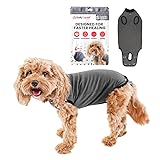 BellyGuard Recovery Suit for Dogs, Comfy Dog