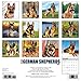 Just German Shepherds 2017 Wall Calendar (Dog Breed Calendars)