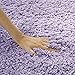 SAFAVIEH California Shag Collection Accent Rug - 3' x 5', Lilac, Non-Shedding & Easy Care, 2-inch Thick Ideal for High Traffic Areas in Entryway, Living Room, Bedroom (SG151-7272)