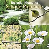 Schöne Momente 2017 Broschürenkalender by