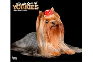 For the Love of Yorkshire Terriers | 2026 14 x 24 Inch (Hanging) Monthly Deluxe Wall Calendar | Foil Stamped Cover | Plastic-