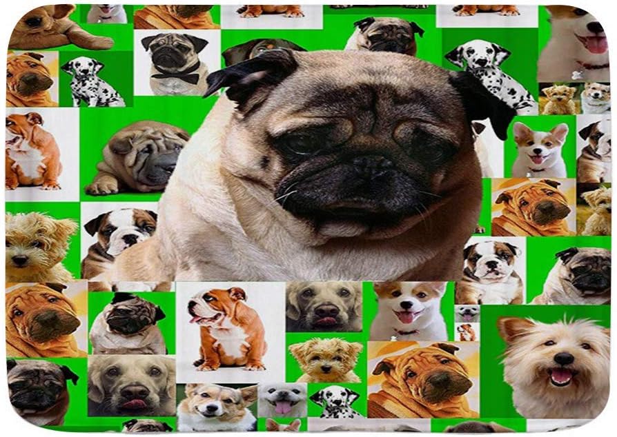 AoLismini Badematte Teppich, süße Hunde Familie Bulldogge, Plüsch