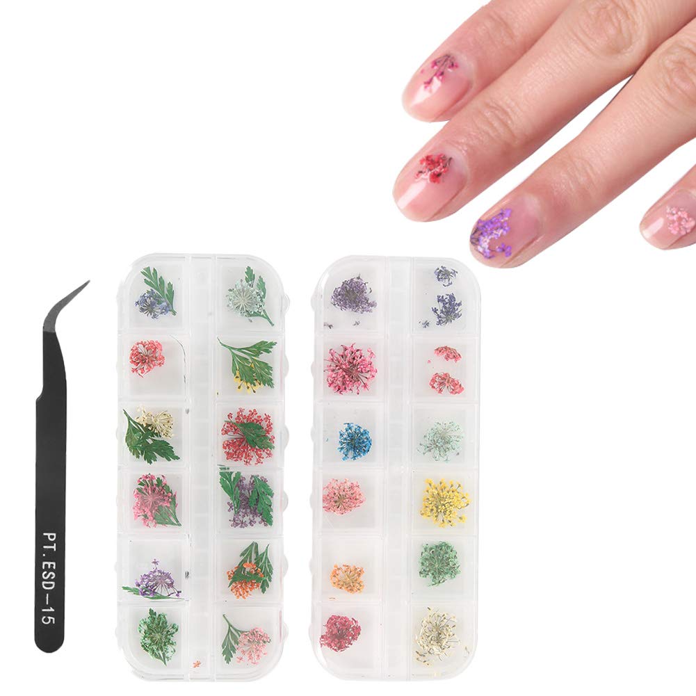 Dried Flower Nail Sticker, Decoration Manicure Crafts DIY Mini Real Natural Flowers Nail Art Supplies Nail Decoration Sticker for DIY Tips Manicure Design with Tools