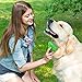 DEMATTING TOOL for DOGS and CATS | 2 Sided Rake with Dual Shedding Blades | Cat Hair Remover Comb for Knots, Tangles & Mats | Dog Brush for Long Haired | Pet Grooming Kit Essentials (FURshark, Green)