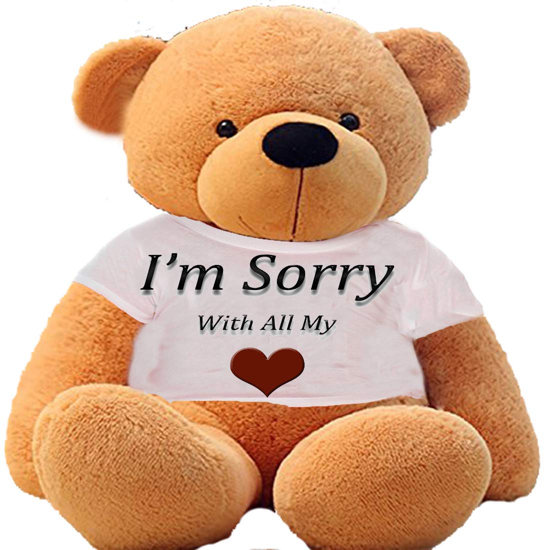 i am sorry teddy
