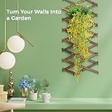 Toyosport Expandable Wooden Trellis Panels 2 Pcs Wall Garden Indoor Outdoor view 2